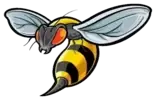 Wasp Stinging