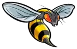 Wasp Stinging